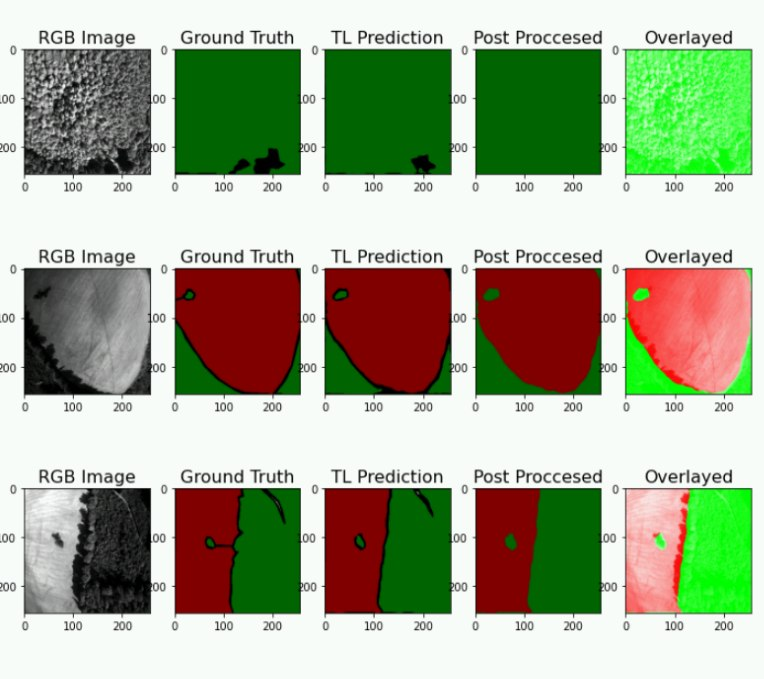 Rows of aerial images showing ground truth, model predictions, and segmentation overlays