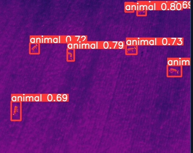 Thermal aerial image with confidence-labelled animal detections